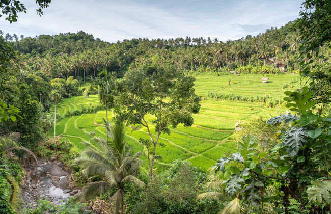 Kaura Bali - Foto 27