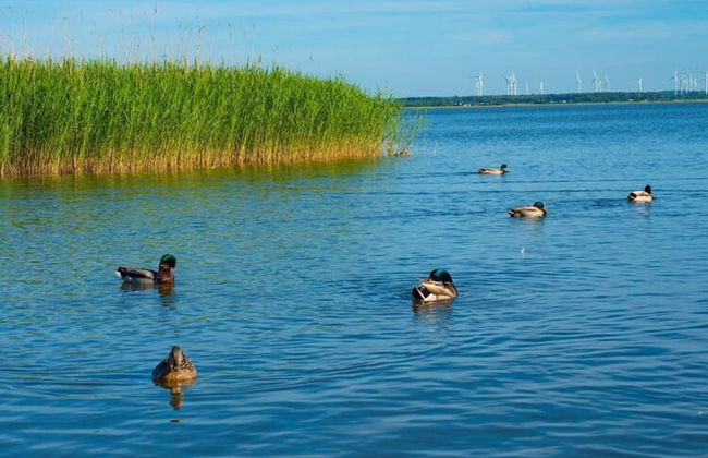 Wooden Summer Houses, Bobolin - Photo 16
