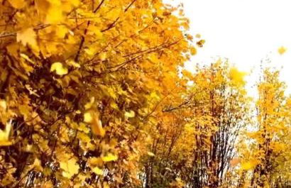 El Robledillo - Foto 37