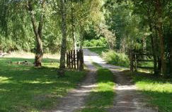 Agroturystyka Lisa Młyn - Foto 45