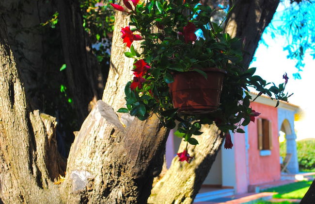 Appartamenti Vecchio Stazzo - Foto 143