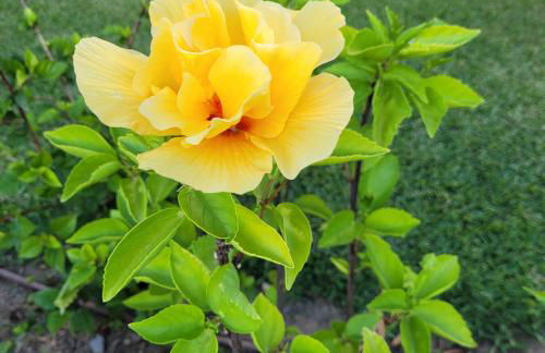 Mi casita playera - Foto 48