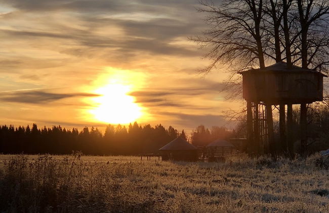 Treehouse Magpies Nest With Bubble Pool - Foto 22