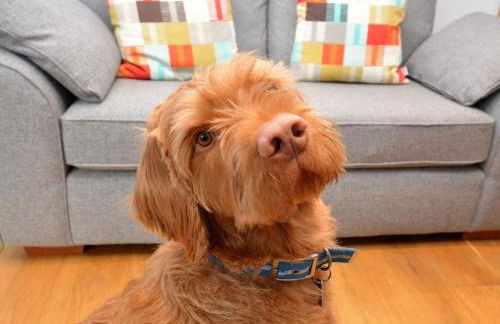 1 Bed in Rocombe 41563 - Foto 6