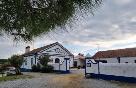 Herdade do Vidigal - Photo 89