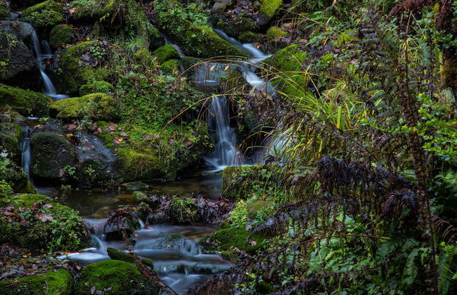 Robin Hood Tower - Foto 14