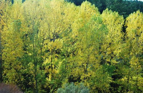 El Alojamiento Rural de Peter - Foto 43