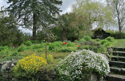 Rüstzeitenheim Sonnenschein - Foto 26