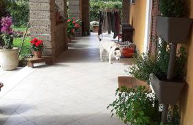 La casetta di samba - Foto 9