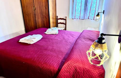 Vicolo della Quiete Anagni - Foto 64