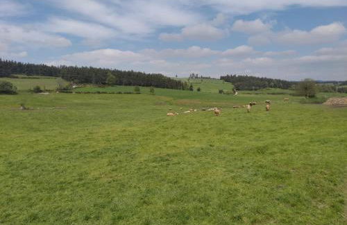 Gîte de fontanes aubrac Margeride loups du gevaudan Lozère - Foto 27