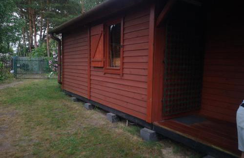 domki domek na jeziorem Wilczyńskim Budzisławskim , las, osobno ogrodzony 2-6 osób- klimatyzacja, ogrzewanie, 62-550 Zygmuntowo gm Wilczyn - Foto 13