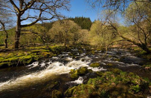 Luxurious Riverside Cottage in Snowdonia National Park - Foto 26
