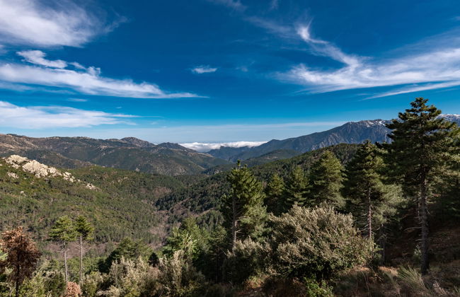 Migone de Sampolo - Foto 30