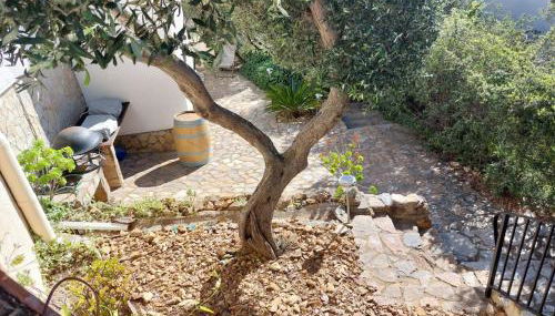 Appartement Mas Fumats Rosas - Photo 5, Garden