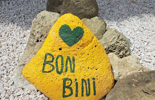 BnBBonaire - Foto 72