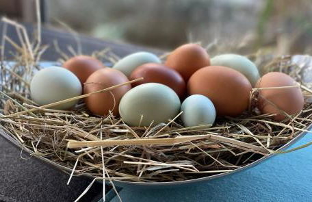 Zuhäusl am Chiemsee Appartements - Foto 27