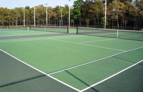 Whip-o-Will Woods: Dog-Friendly Cape Cottage - Photo 23