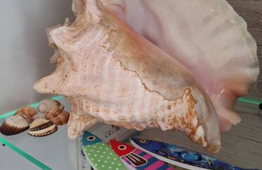 Split Znjan Beach 50m ----SeaSun&Relax---- Top Location - Foto 26