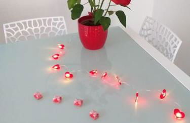 Astrid et Pierre-Antoine - Foto 13