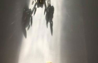 La Pergola di Amalia - Foto 42