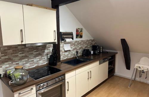 Stilvolle Ferienwohnung in historischer Stadtvilla - Foto 20