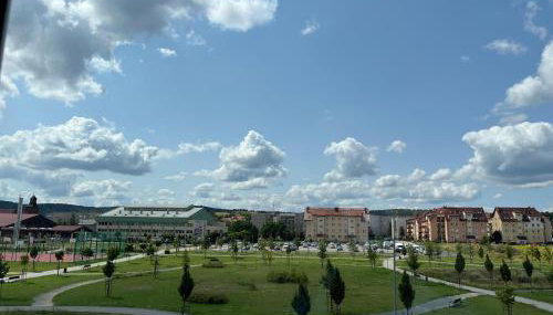 Studio Green - Foto 2