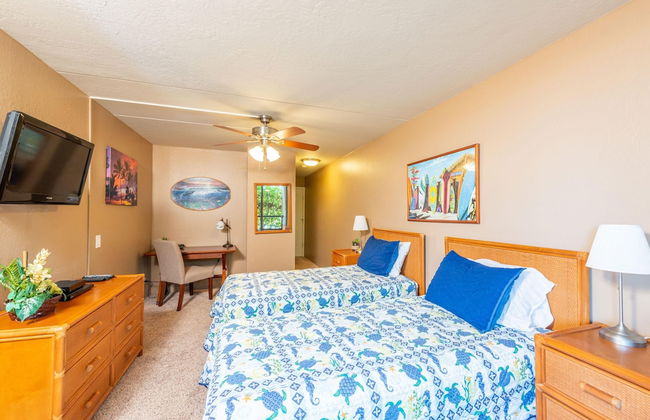 Kona Pacific A102 - Foto 6