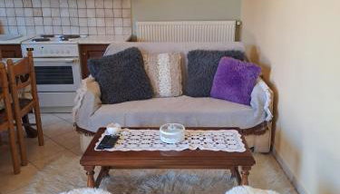 Kontolati's Mountain House - Foto 5