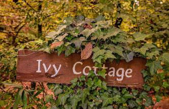 Ivy Cottage Cute Cottage Along The Ocoee River - Foto 17