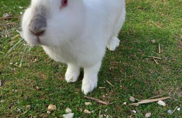 Dolina Sosny - Foto 28