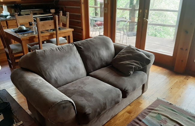 Cherokee mountain log cabin resort - Foto 43