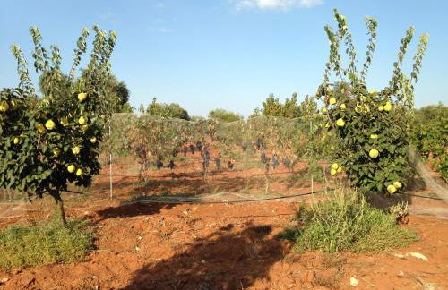 Agriturismo Mele - Foto 28