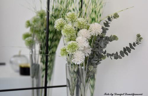 Studio apartman CENTAR - Foto 27