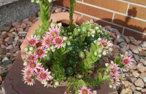 Ferienwohnung Edersonne - Foto 8