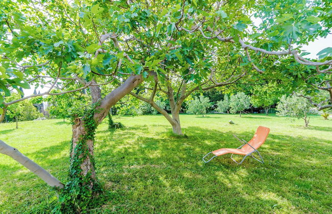 Color Apartments - Foto 61