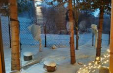 Domek pod Kozińcem SAUNA JACUZZI Zakopane - Foto 55