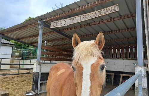 Flat in Alsace near Vosges Nature Park - Foto 17