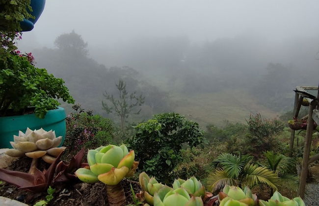 finca hotel zona 7 - Foto 69