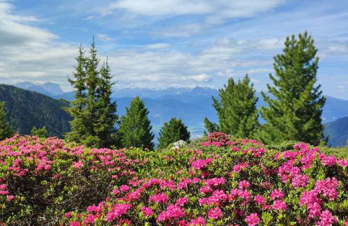 Residence Aichner - Foto 12