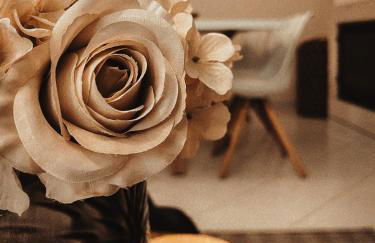 Condominio Cerro da Guia - Foto 26