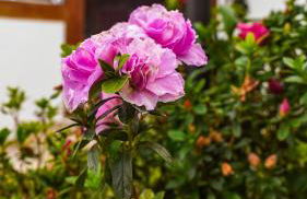 Flat com Piscina no Centro de Tiradentes - Foto 21