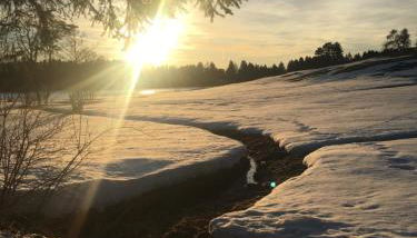 Haus Magnolia - Foto 4