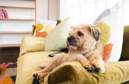 The Old Butcher's Shop - Foto 13