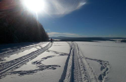 "Heiterer Blick" - Foto 39