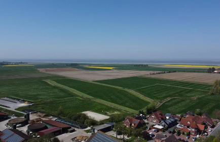 Kleine Scholle - Photo 23