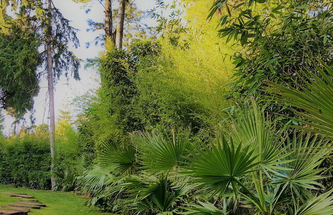 Engy Estoril - Luxury Villas - Foto 38