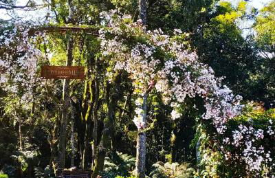 Chalé Temático em Pipa de Vinho - Parada da Pipa Chalés - Foto 50