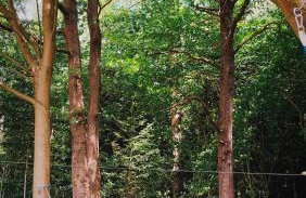 Domek Dzikie Lisko - Foto 15