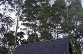 Chalé da Mantiqueira SFX , Pet friendly - Foto 4